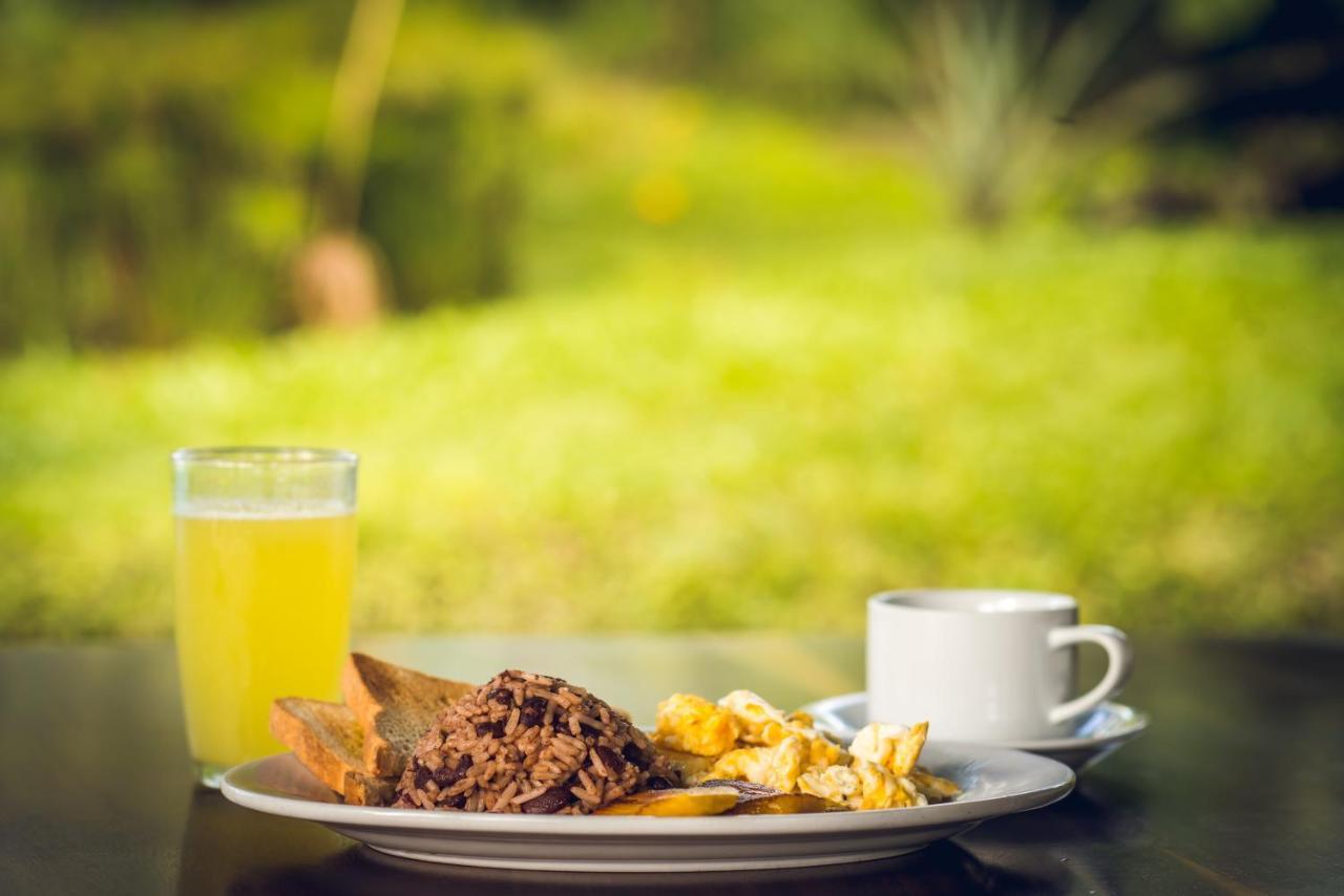 Yellow Tree Suites La Fortuna 外观 照片