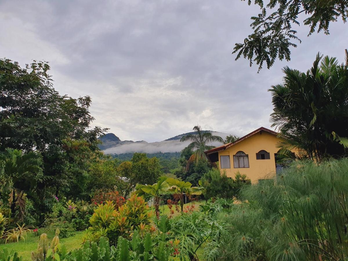 Yellow Tree Suites La Fortuna 外观 照片