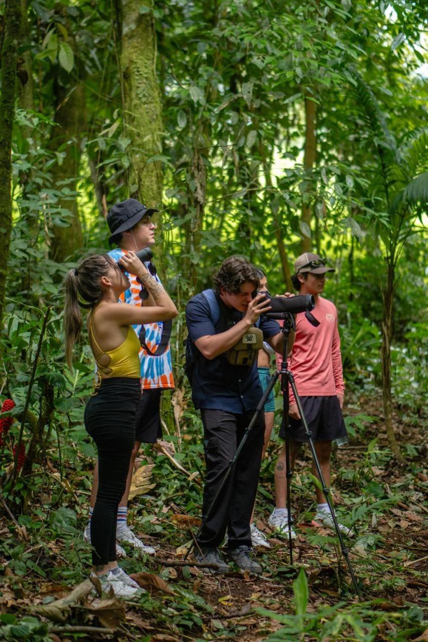 Yellow Tree Suites La Fortuna 外观 照片